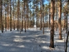 HDR003